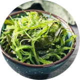 Brown seaweed rich in fucoidan, a sea kelp ingredient in Phytomem One for brain health